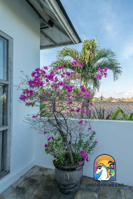 Villa Eva - By Unicorn Villas Bali 울루와뚜 외부 사진